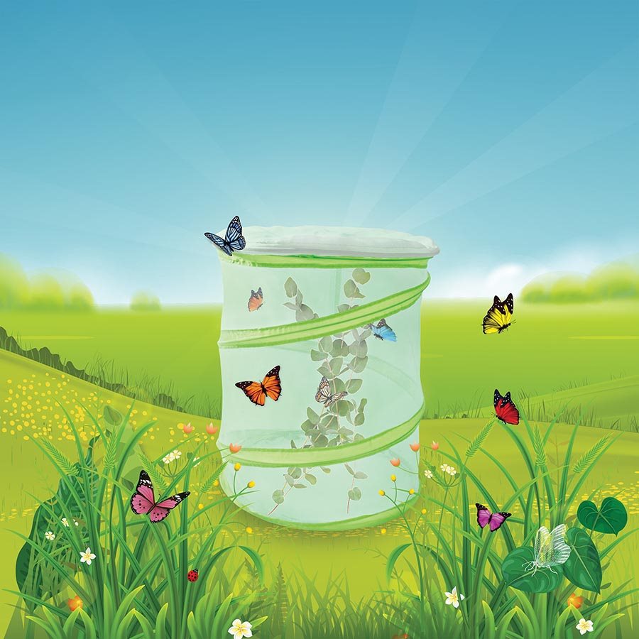 Discovery Zone - Butterfly Study Set