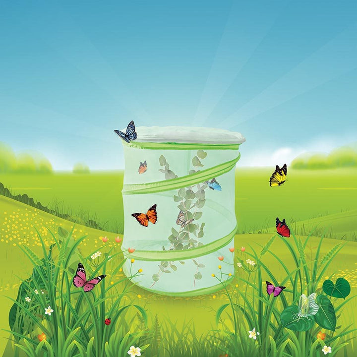 Discovery Zone - Butterfly Study Set