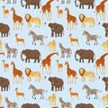 Greeting Card - Safari