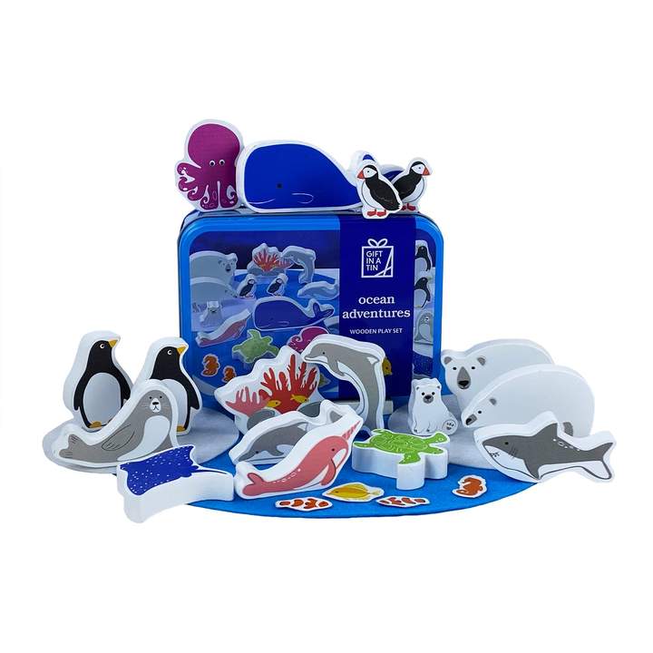 Ocean Adventures in a Tin