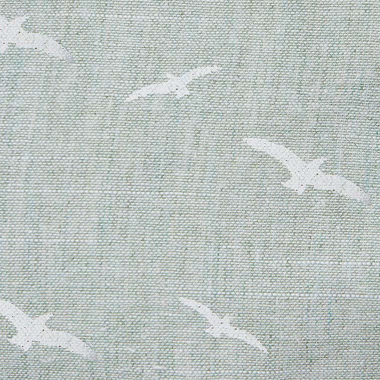 Bloomers - Galapagos