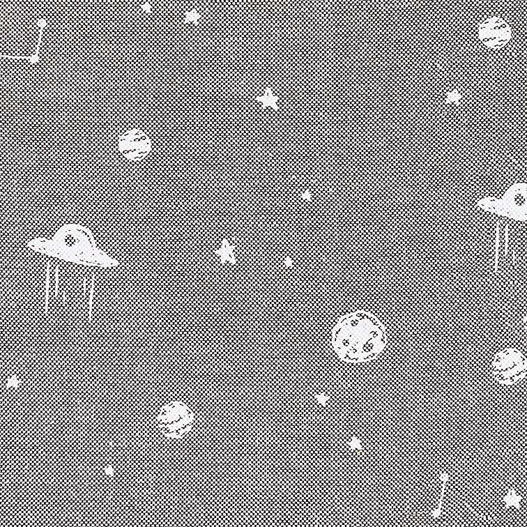 Bloomers - Space Race