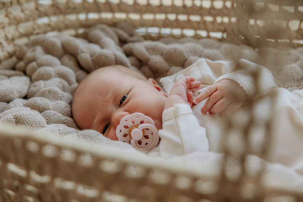 Boheme Pacifier 2 Pack - Ivory/Blossom