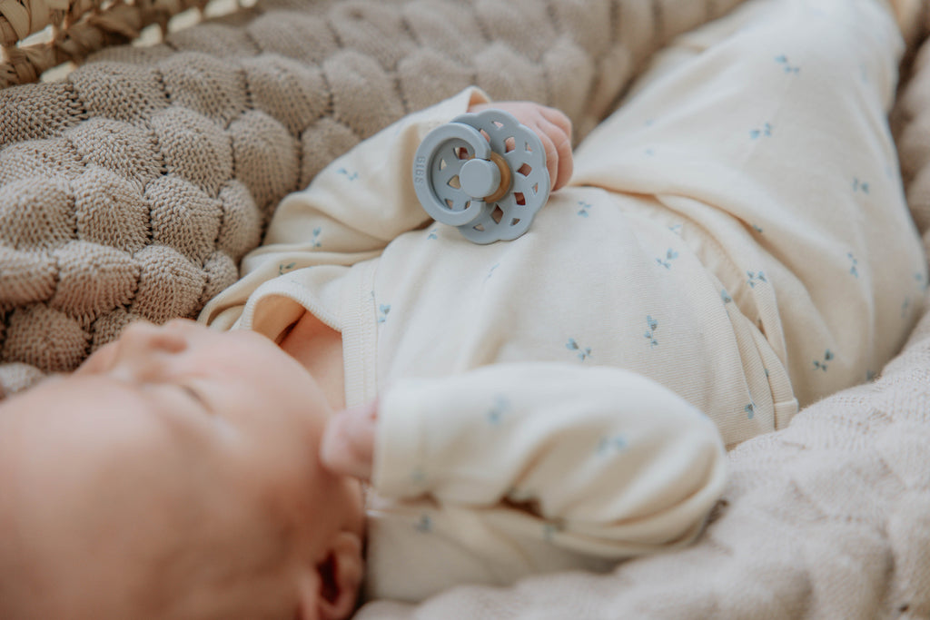 Boheme Pacifier 2 Pack - Sage/Cloud