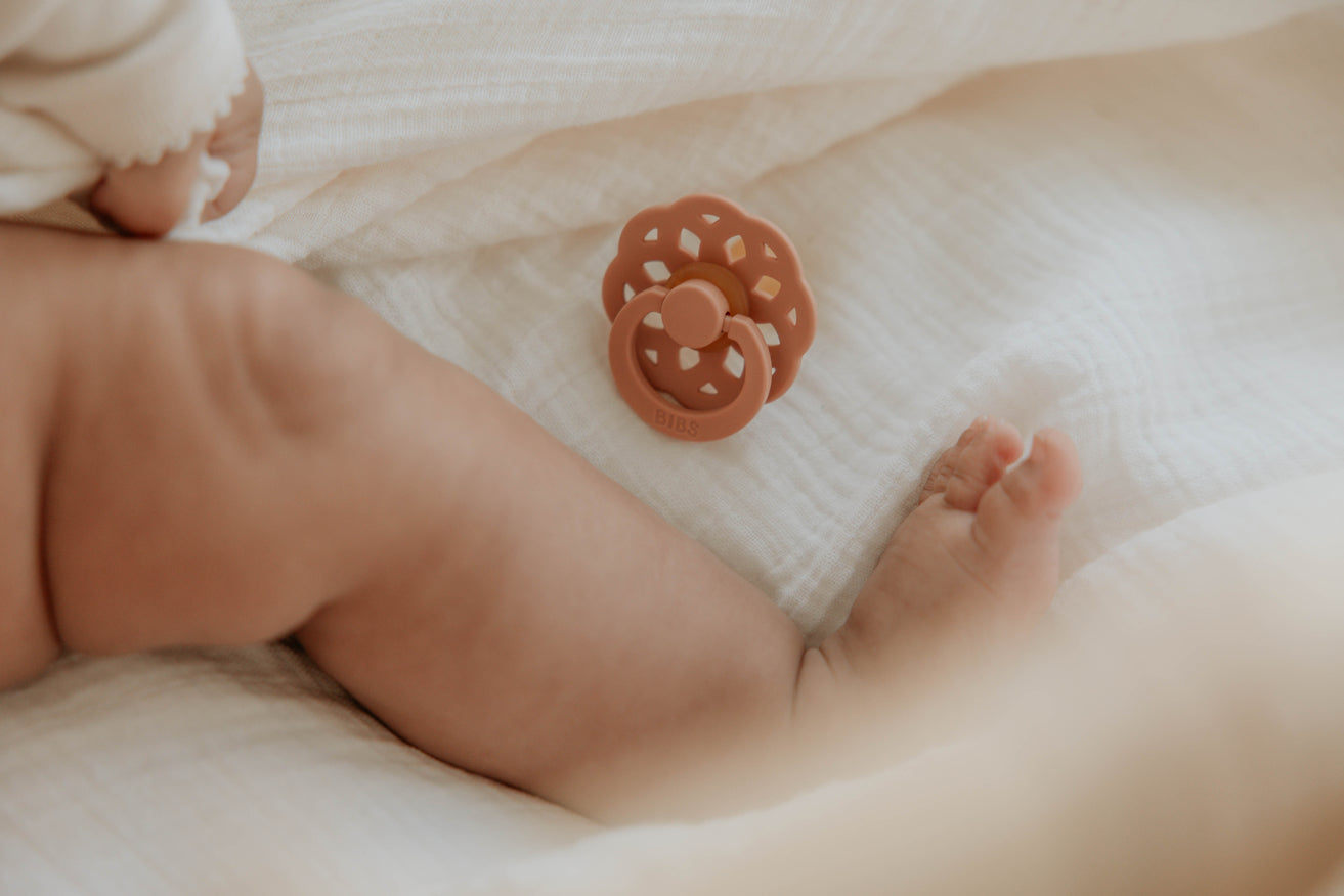 Boheme Pacifier 2 Pack - Peach/Woodchuck