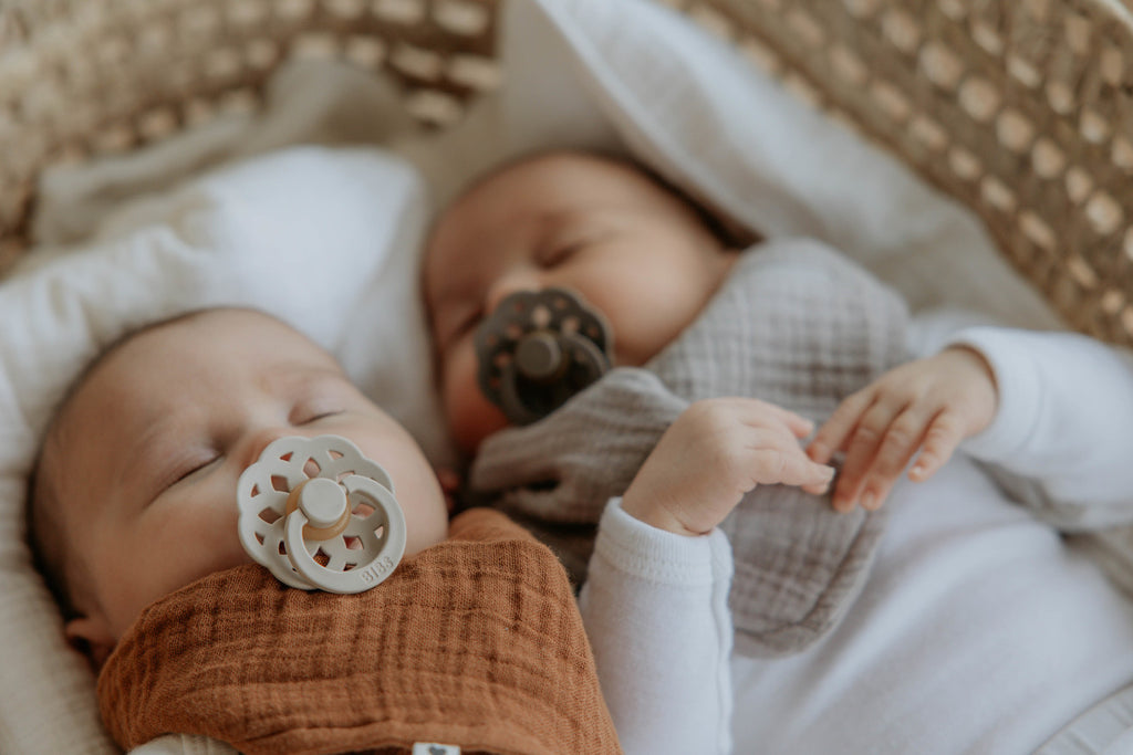 Boheme Pacifier 2 Pack - Vanilla/Dark Oak