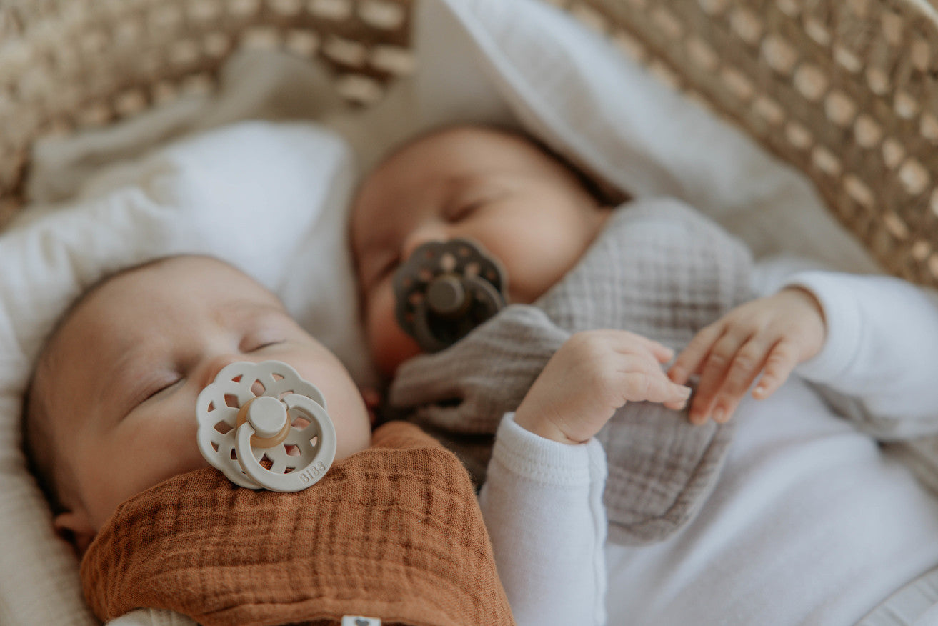 Boheme Pacifier 2 Pack - Vanilla/Dark Oak