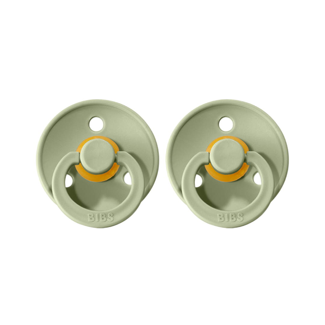 Bibs Pacifier 2 Pack - Sage