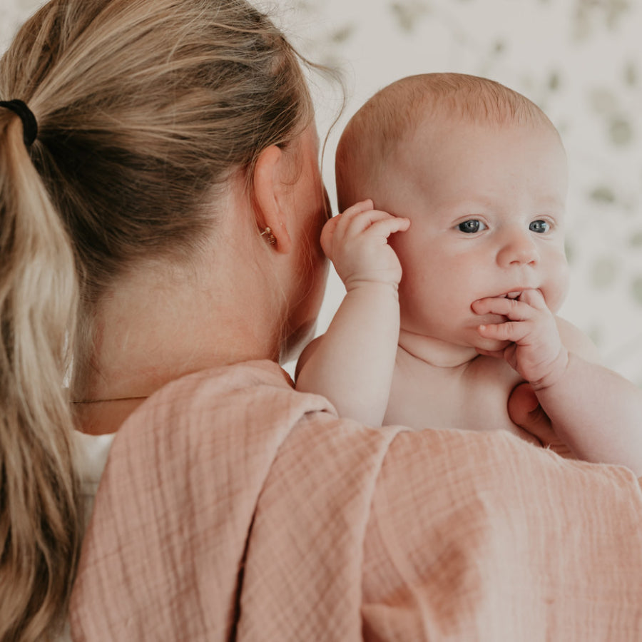 Cuddle Cloth 2 Pack - Blush