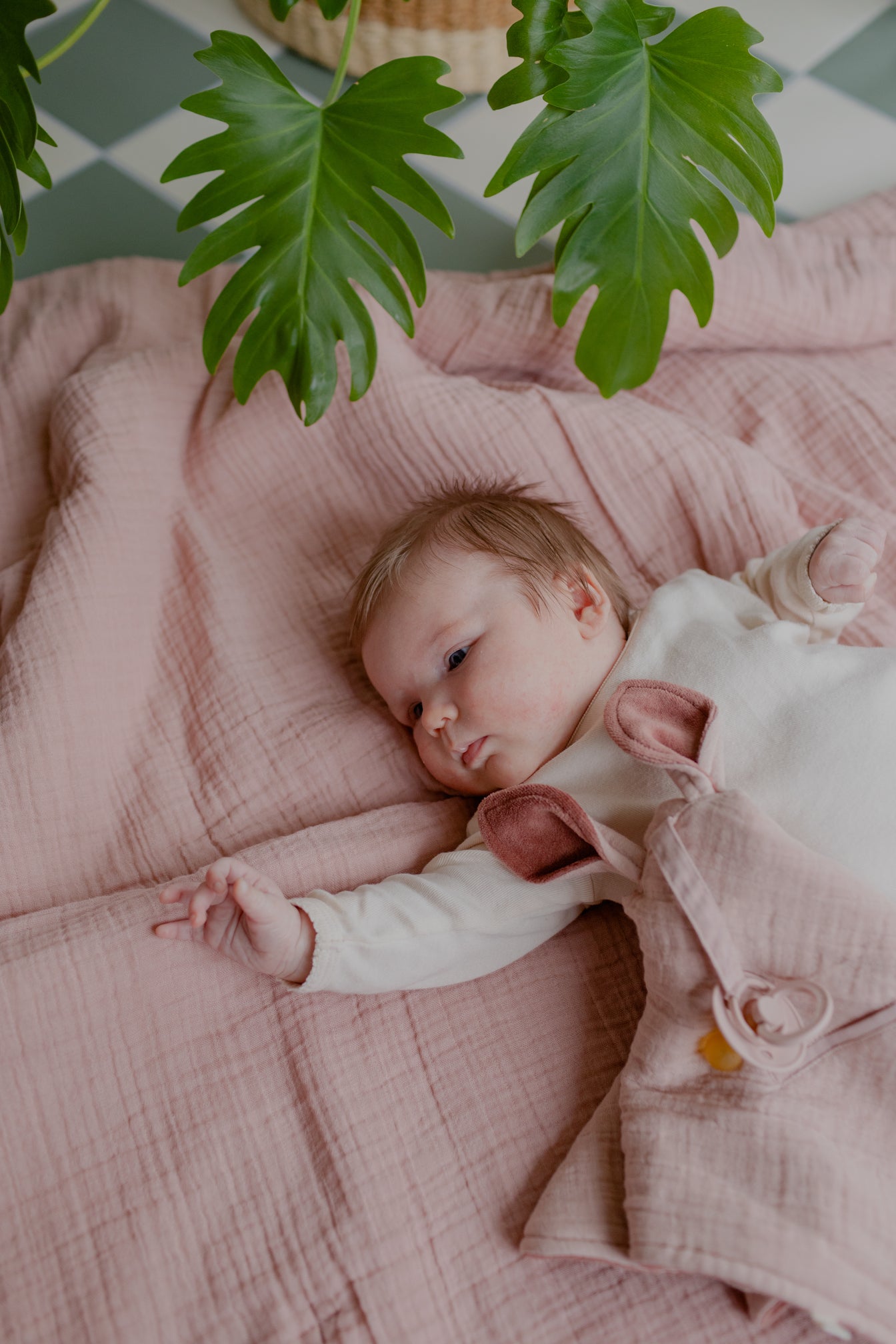 Kangaroo Cuddle Cloth - Blush