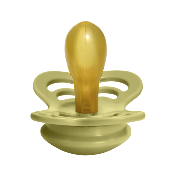 Supreme Latex Pacifier 2 Pack - Meadow/Earth