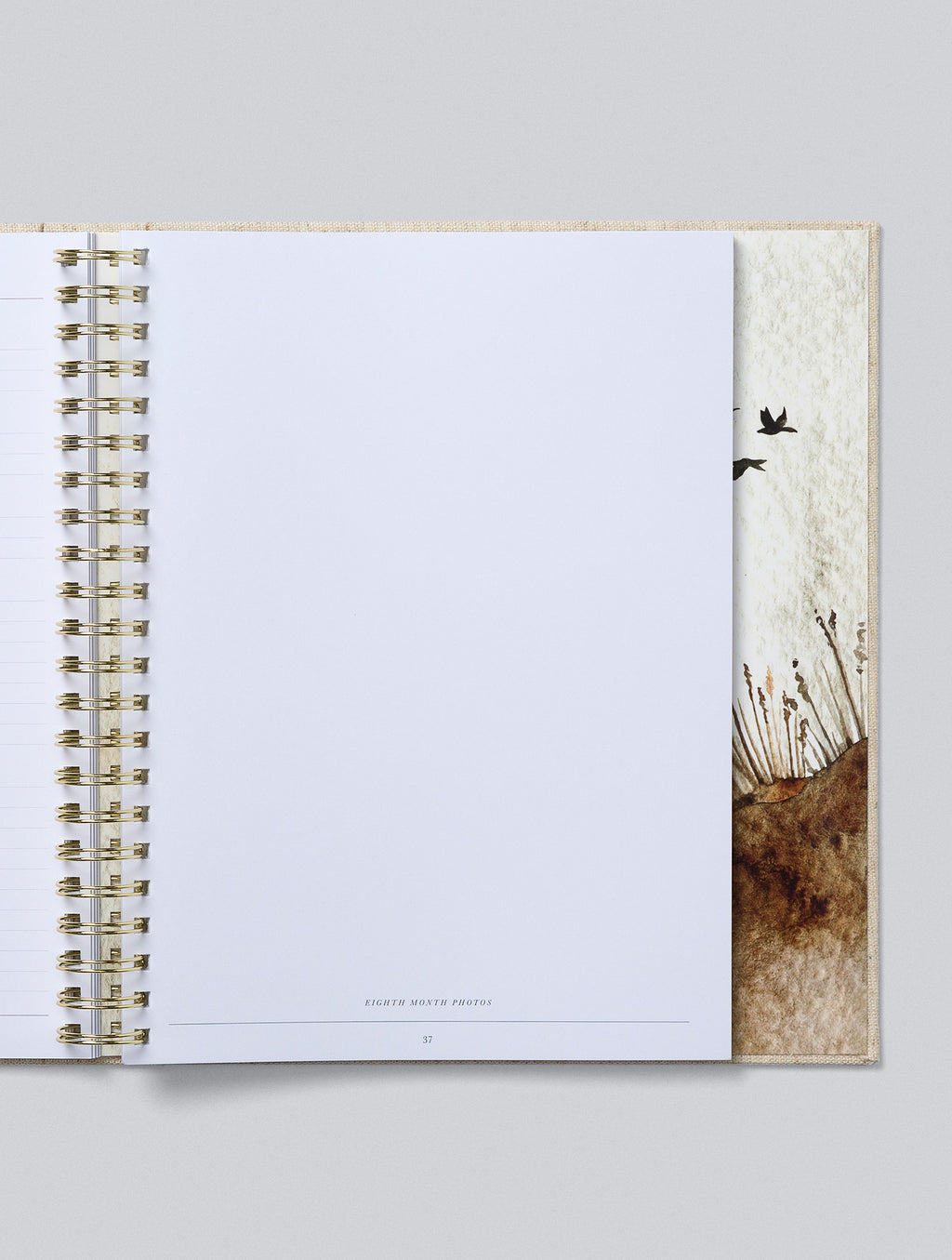 Write To Me - Baby Journal First Five Years - Oatmeal (Boxed)