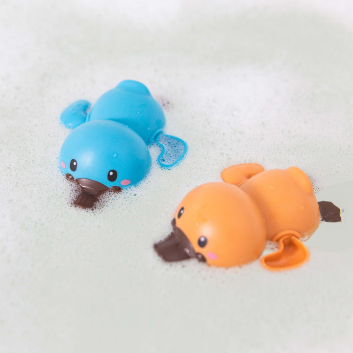 Bath Racers - Platypuses