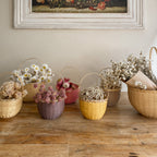 Blossom Basket Small - Berry