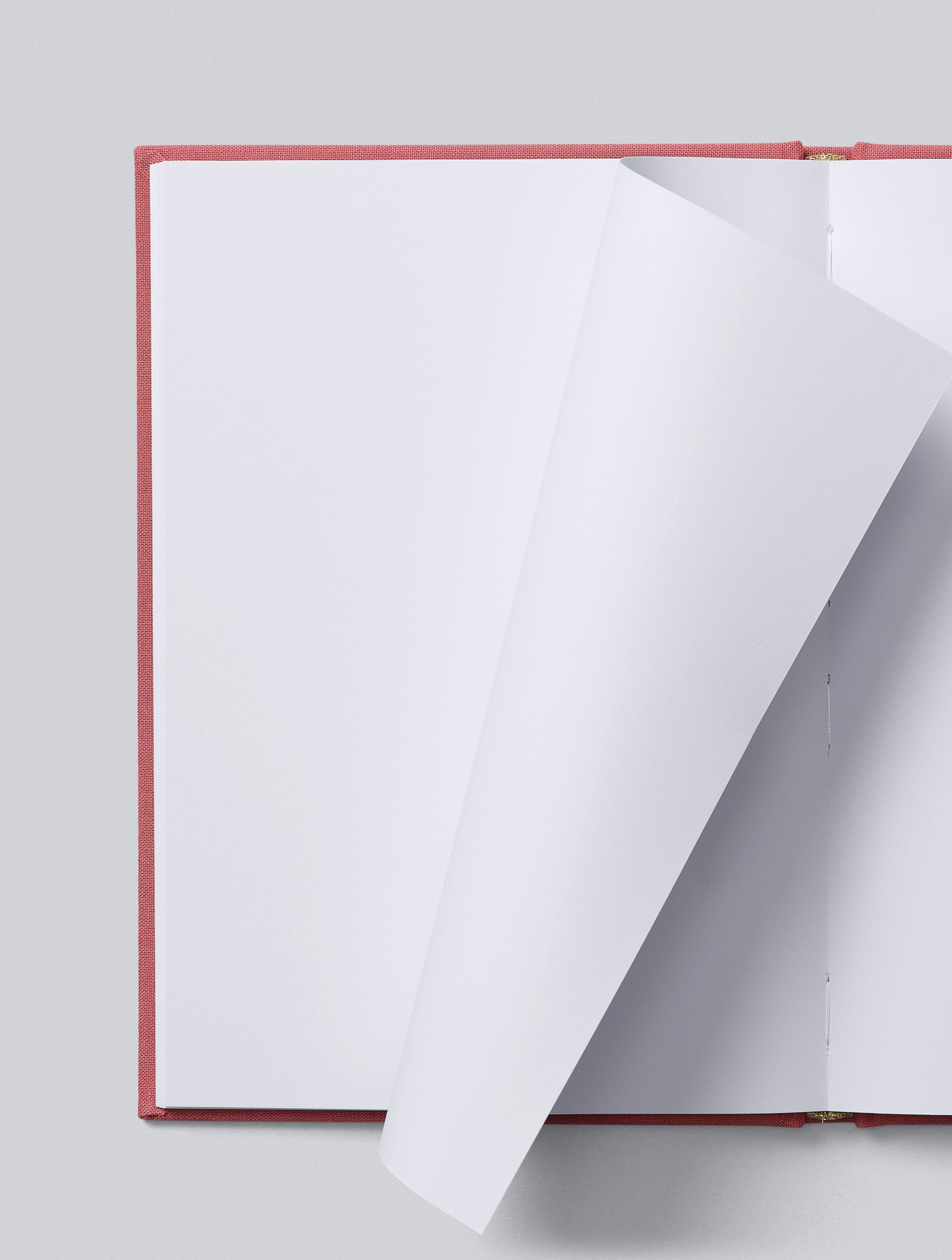 Write To Me - Cards for Keeps - Blush