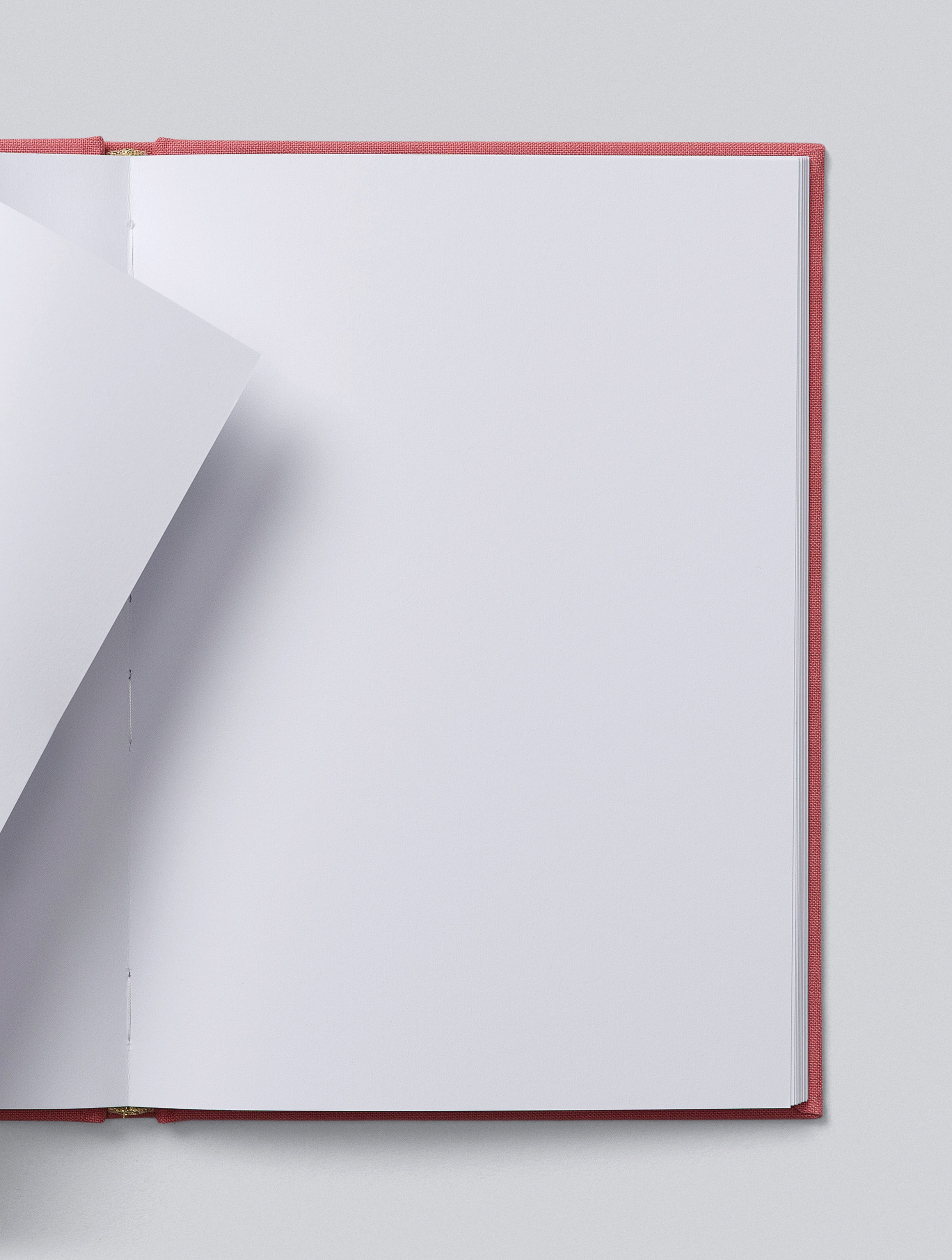 Write To Me - Cards for Keeps - Blush