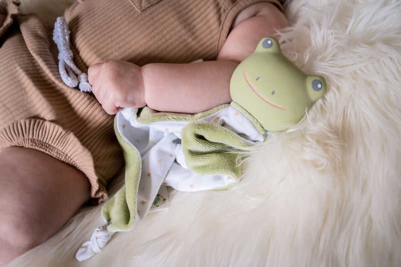 Gemba Frog Comforter/Teether