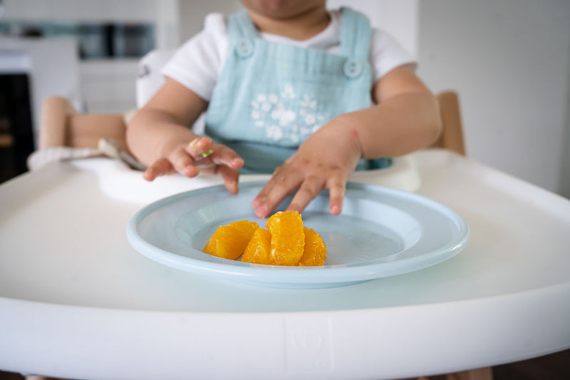 Safari Dinner Set