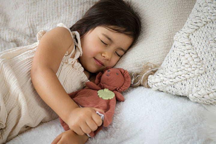 Lion Comforter - Organic