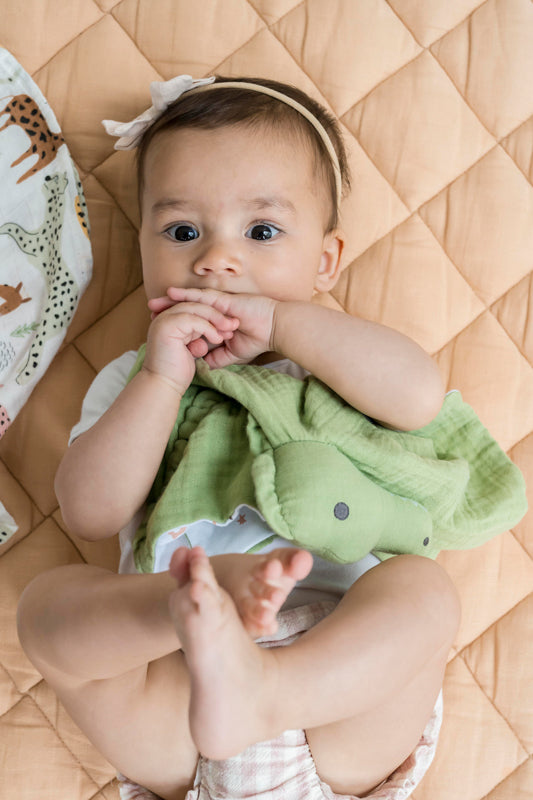 Crocodile Comforter - Organic