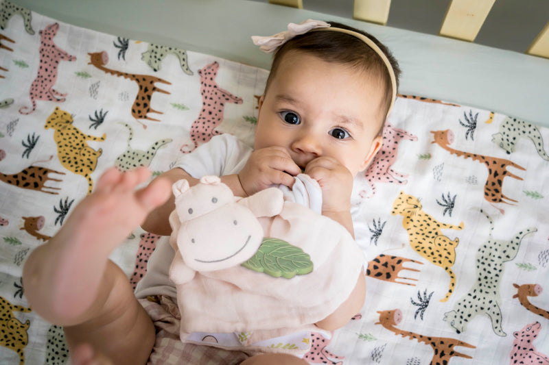 Hippo Comforter - Organic