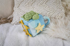 Ocean Activity Cube - Organic