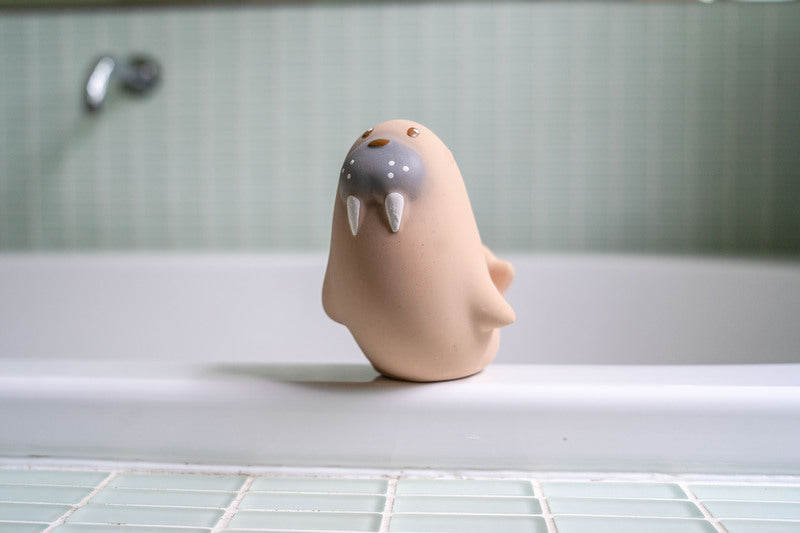 My First Arctic Animal - Walrus