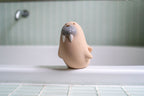 My First Arctic Animal - Walrus