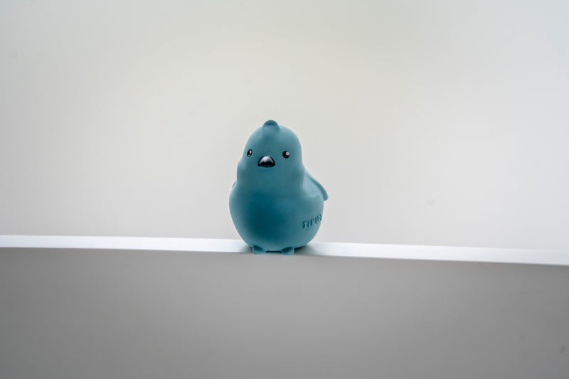 My First Garden Friend - Bird