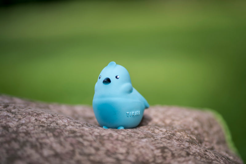 My First Garden Friend - Bird