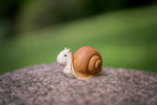 My First Garden Friend - Snail