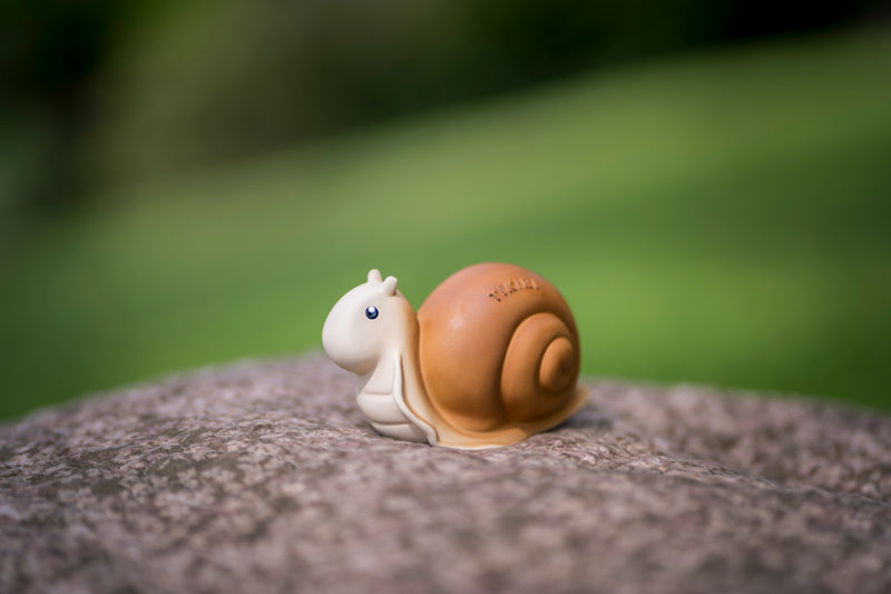 My First Garden Friend - Snail