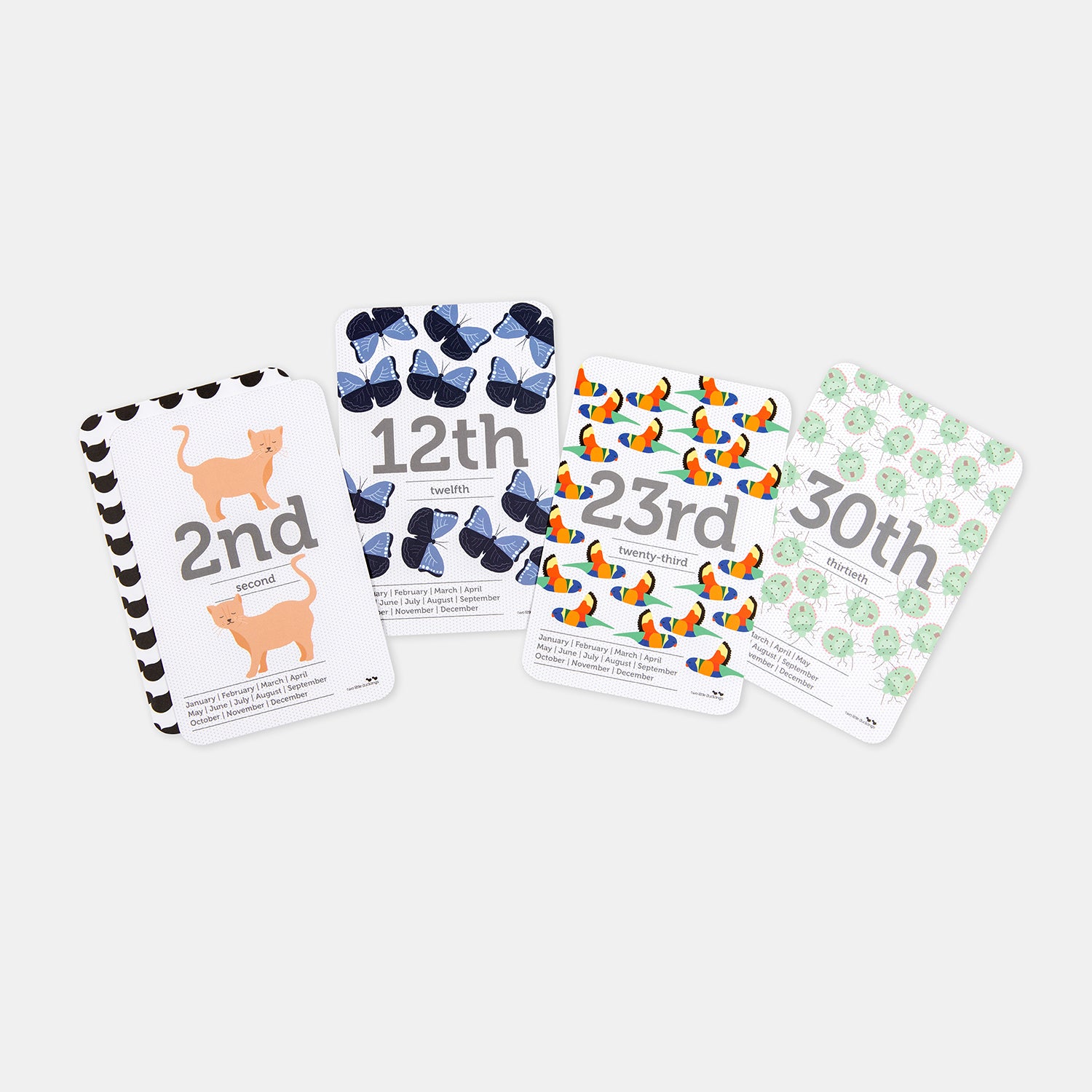 Flash Cards - Dates of the Month