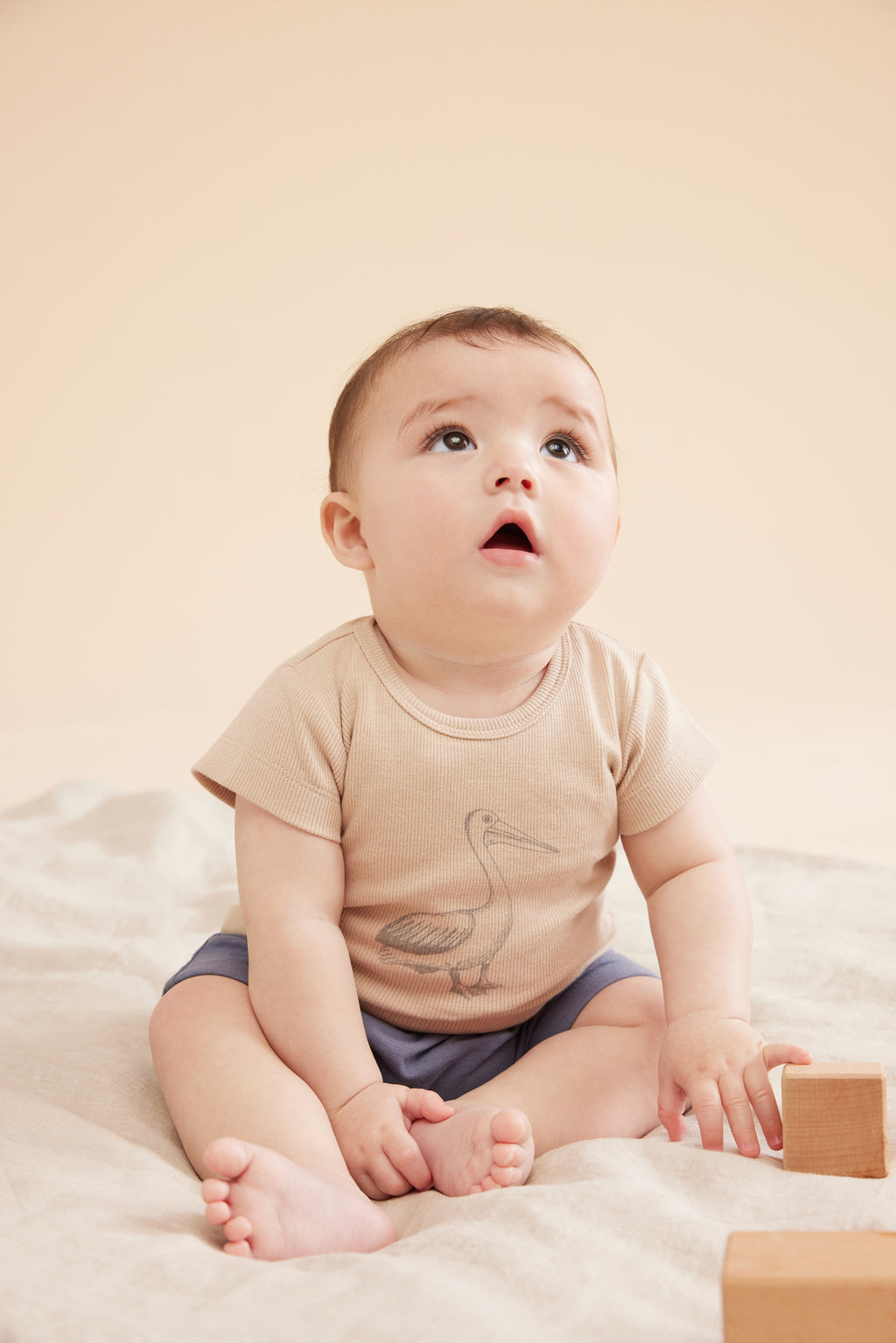 Organic Rib Tee - Little Pelican