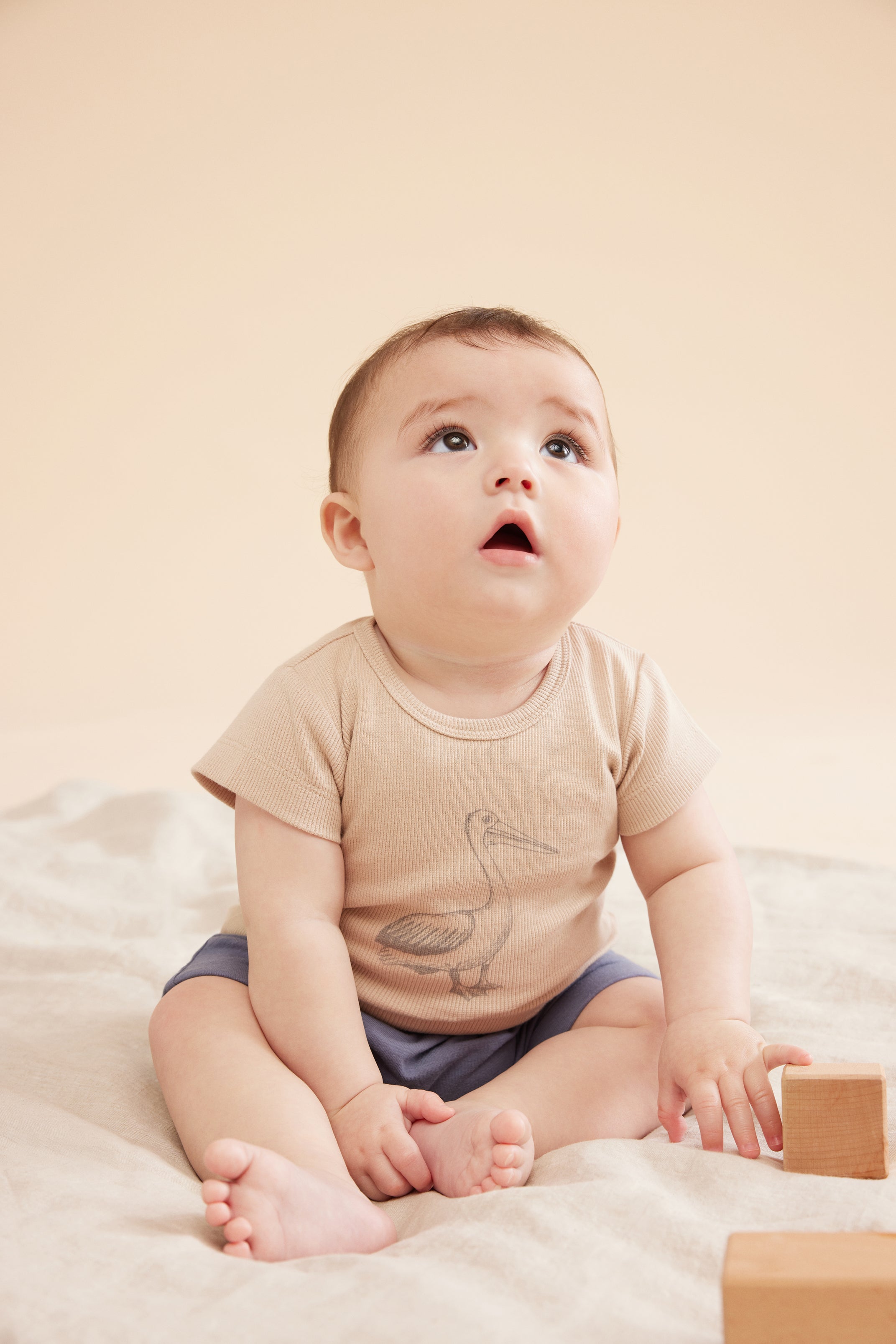 Organic Rib Tee - Little Pelican