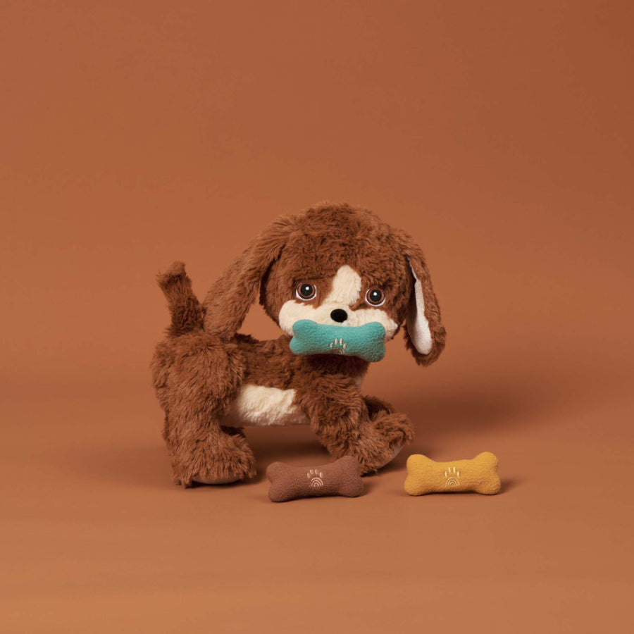 Dinkum Dog Bone Set