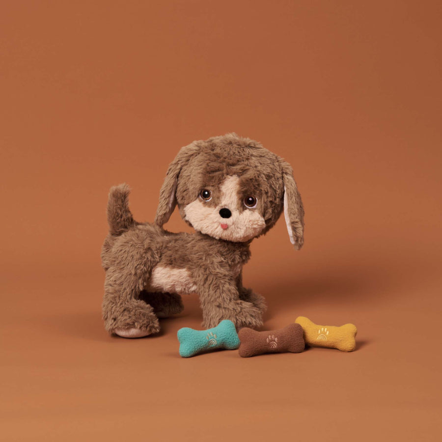 Dinkum Dog Bone Set