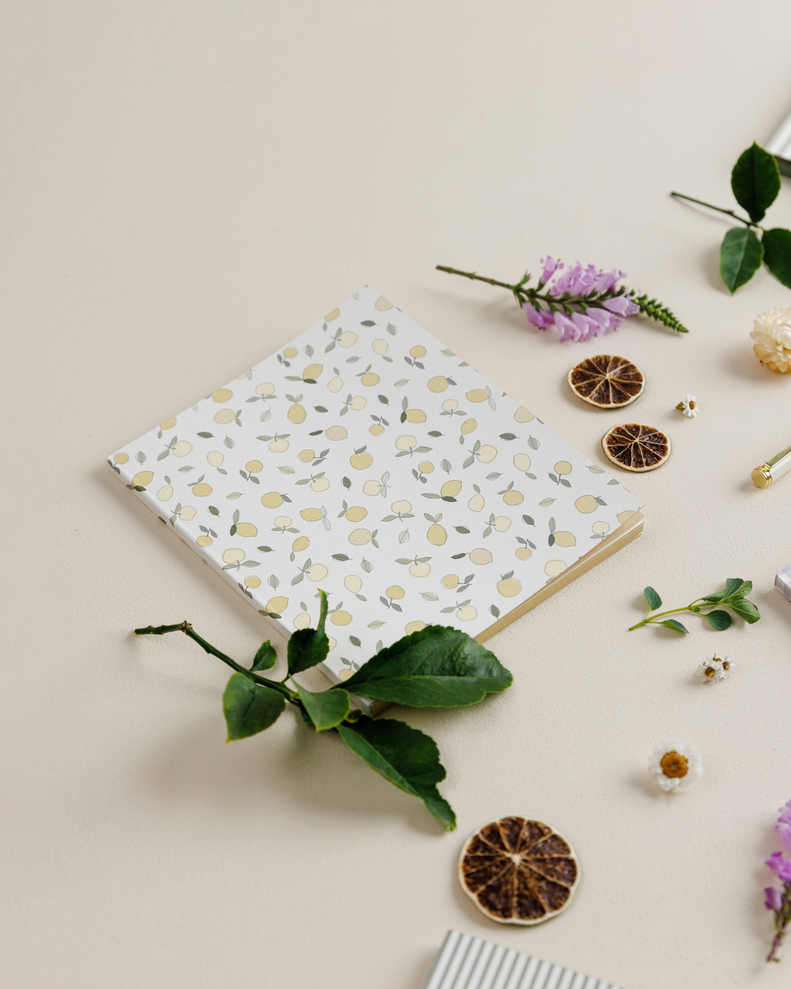 Notebook | Signature | Lemons