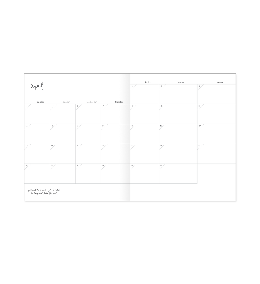 Emma Kate Co. 2022 Planner | Weekly | Horizontal | Oat