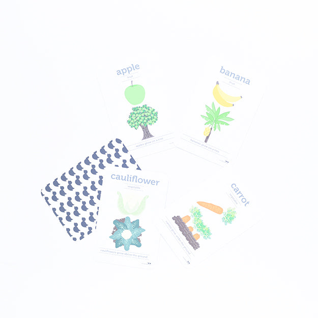 Flash Cards - Fruit and Vegetables