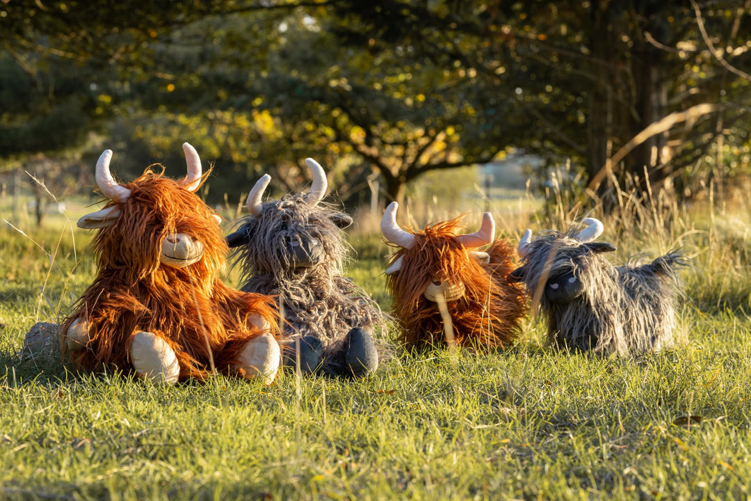 Heidi the Highland Cow Charcoal