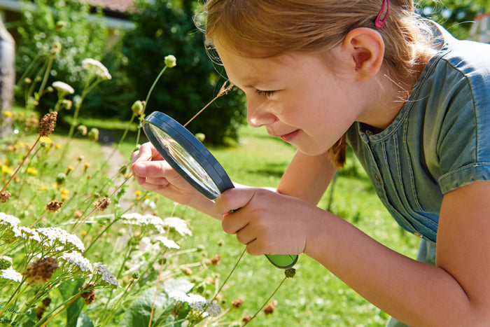 Terra Kids Magnifiying Glass