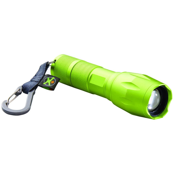 Terra Kids Torch