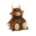 Henry the Highland Cow