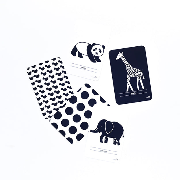 Flash Cards - High Contrast