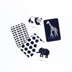 Flash Cards - High Contrast