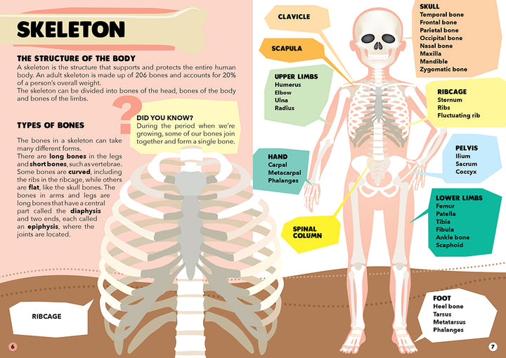 Travel Learn and Explore - Human Body 205 Piece Puzzle & Book