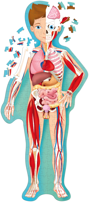 Travel Learn and Explore - Human Body 205 Piece Puzzle & Book