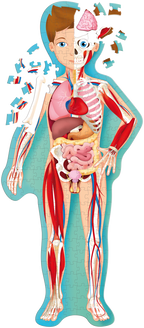 Travel Learn and Explore - Human Body 205 Piece Puzzle & Book
