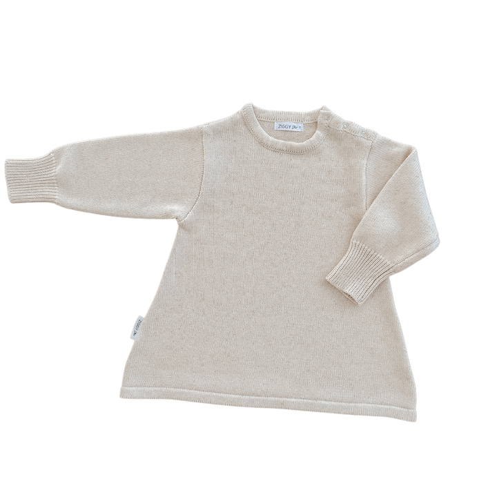 Ziggy Lou - Long Sleeve Dress | Biscotti Fleck